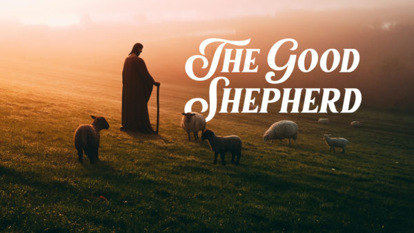 The Good Shepherd